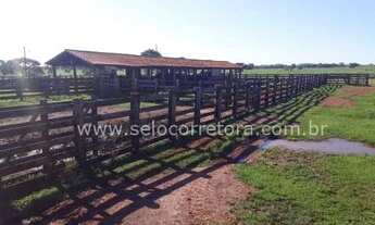 Imagem: Belissima Fazenda no Muni. De Chapada dos