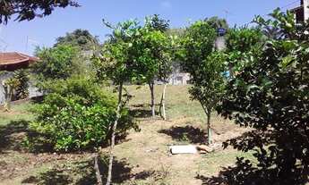 Imagem 5: Suzano - Padrão - Chácaras Ceres