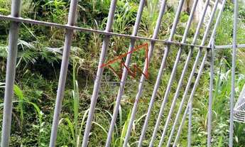 Imagem 5: Excelente oportunidade no bairro da Gloria!!!