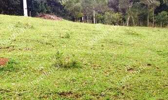 Imagem 2: Excelente Chácara Sem Benfeitorias