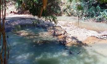 Imagem 6: Fazenda no DF com 30 hectares oportunidade
