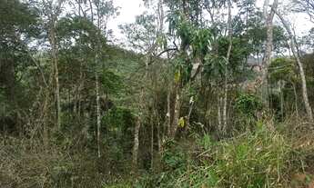 Imagem 4: Granja na estrada de dias Tavares