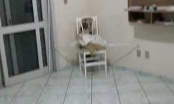 Imagem 5: Ótima opção de investimento