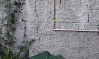 Imagem 4: Chalé na Montanha no Sobradinho