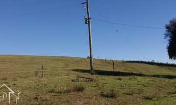 Imagem 2: Pinheiro Machado - Sítio - Zona Rural