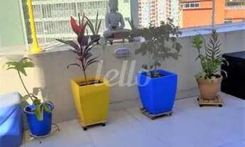 Imagem: São Paulo - Apartamento Padrão - Bela