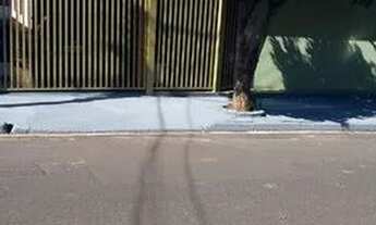 Imagem 2: SÃO JOSÉ DO RIO PRETO - Casa Padrão - ELDORADO