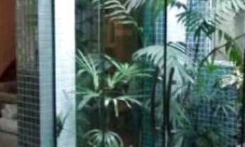 Imagem 4: SOBRADO - MOOCA - SP