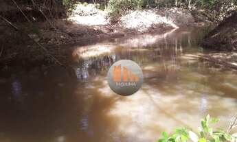 Imagem 6: Fazenda com 2 dormitórios à venda, 677600 m² por R$ 3.000.000,00 - Zona Rural - Varjão/GO