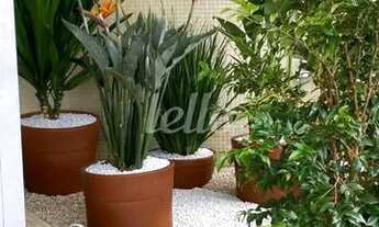 Imagem 2: São Paulo - Apartamento Padrão - Paraíso