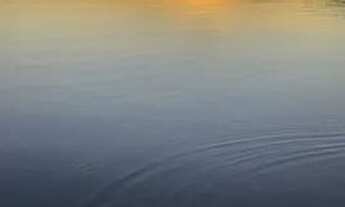 Imagem 3: Lotes na Serra Da Mesa