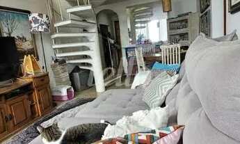 Imagem 4: São Paulo - Apartamento Padrão - Tucuruvi