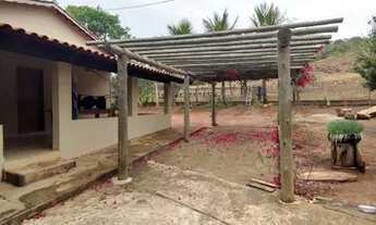 Imagem 4: Fazenda 32.5 alqueires, excelente para pecuária!