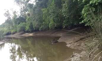 Imagem 6: Linda Chácara em Antônia Próxima ao Rio do Nunes