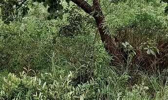 Imagem 6: Chácara Portal dos Sonhos