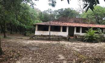 Imagem 2: VENDO TERRENO NA BEIRA DA BR 135 KM 19 - mede 33 hectares