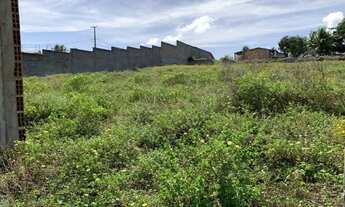 Imagem 2: Lote na Barra dos Coqueiros 54231