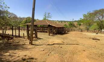 Imagem 6: Fazenda de 20 alqueires em Trindade Go