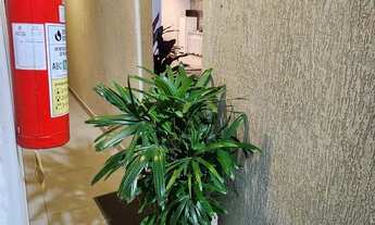 Imagem 4: Carnaval em Búzios Flats próximo a Praia de Tucuns e Geribá