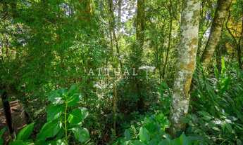 Imagem 5: GRANDE TERRENO NO BAIRRO VILA SUZANA