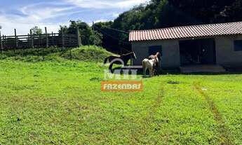 Imagem 5: Fazenda 16,6 alqueires (80,3 hectares) Pirenópolis - GO