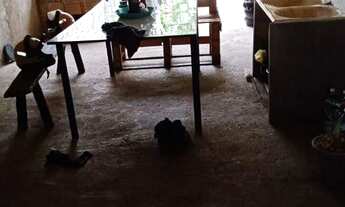 Imagem 2: Casa no cidade industrial