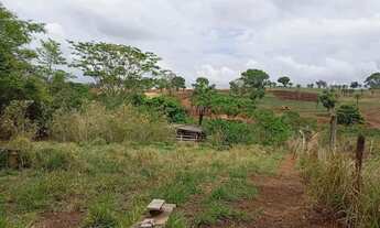 Imagem 3: Vendo excelente área ao lado da BR 153 - Estâncias Vista Alegre