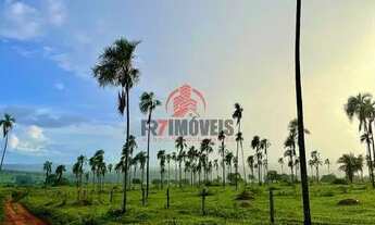Imagem: FAZENDA NA CIDADE DE PROFESSOR JAMIL GOIÁS