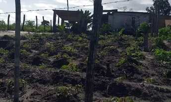 Imagem: Vendo excelente sítio em jaguaripe