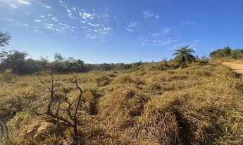 Imagem: Terreno rural em mateus leme
