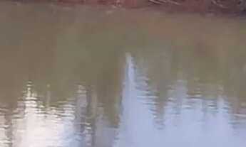 Imagem 2: Fazenda 137 há Arinos MG