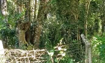 Imagem: Terreno a venda. 581 m ZR 2, no Bairro Barreirinha