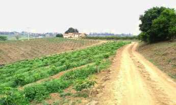 Imagem 4: SÍTIO - MACUCO - SP