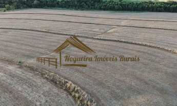 Imagem 3: Sítio com 17 alqueires terra vermelha em Quadra/SP