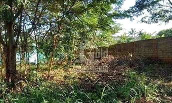 Imagem 7: Terreno para alugar, 5400 m² por R$ 6.000,00/mês - Ribeirânia - Ribeirão Preto/SP