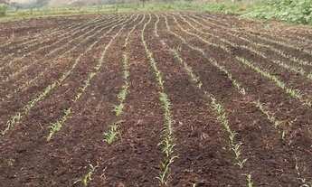 Imagem 6: Venda-se está propriedade de 45 Alqueires no Município de Rio Novo do Sul/