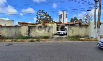 Imagem 4: Casa em Capim Macio