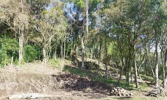 Imagem 3: Area de sítio em Boa Vista do Sul