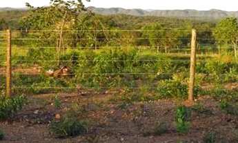 Imagem 3: Chácara com 1,2 hectares