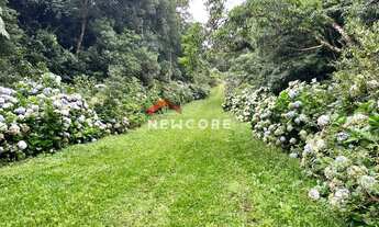 Imagem 5: Lote em Rua 21 - Alpes - São Francisco de Paula/RS