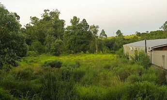 Imagem 5: Vendo terreno 30x164