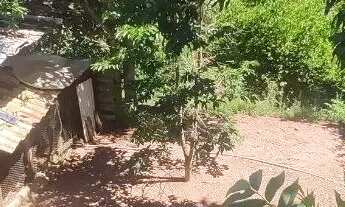 Imagem 6: Chácara no bairro Monterrey: 2 Quartos, 1 Suíte, 3 Banheiros, 3 Vagas de Garagem - Louveir