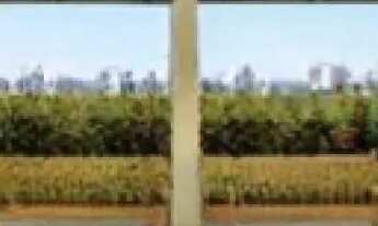 Imagem 4: APARTAMENTO - VILA VALPARAÍSO - SP