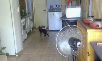 Imagem 2: Ta pro Brik casa muito boa, pego carro no Brik