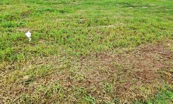 Imagem 2: Terreno à venda em Campinas, Parque São Quirino, com 451.57 m², Artesano Galleria