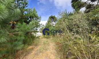 Imagem 2: Terreno à venda, 800 m² por R$ 120.000,00 - Vila Queimados - Mandirituba/PR