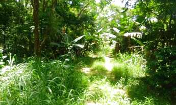 Imagem 7: Terreno à venda em Vinhedo, Altos do Morumbi, com 3700 m²
