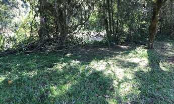 Imagem 2: Terreno em maquiné