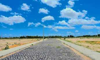 Imagem 3: Terrenos em ( Parnamirim