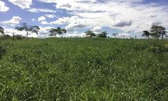 Imagem: Aproximadamente 2 alqueires